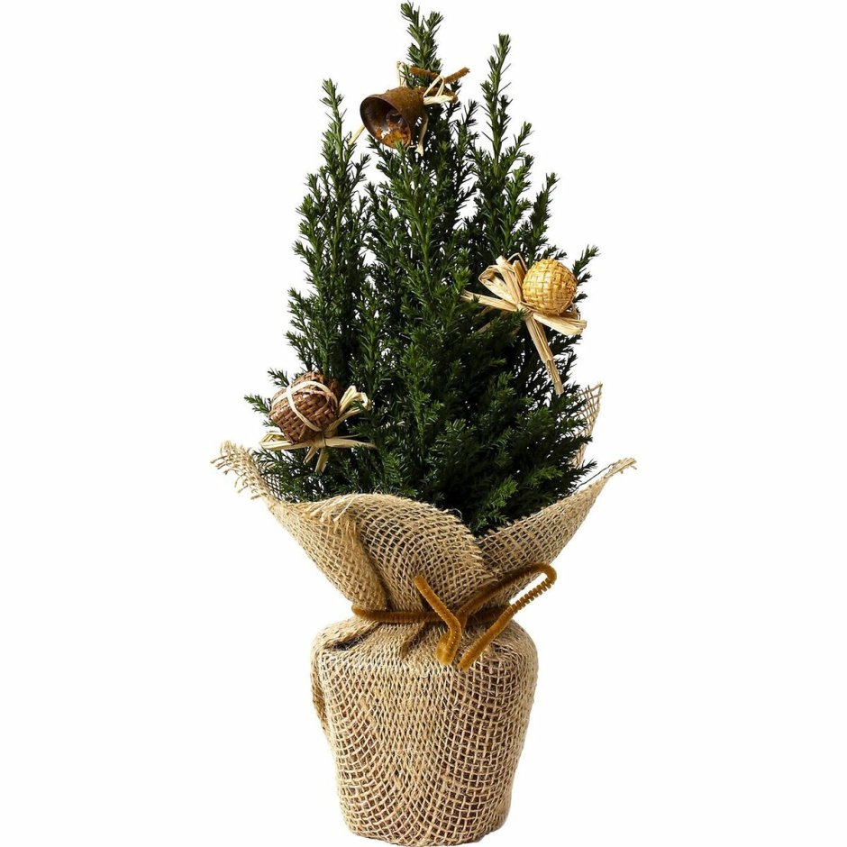 Необычный новогодний декор