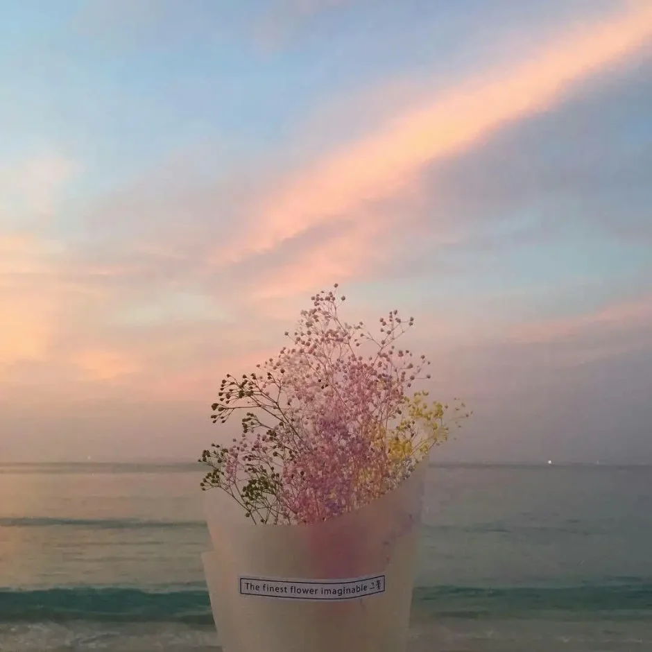 Бледно красные цветы Эстетика