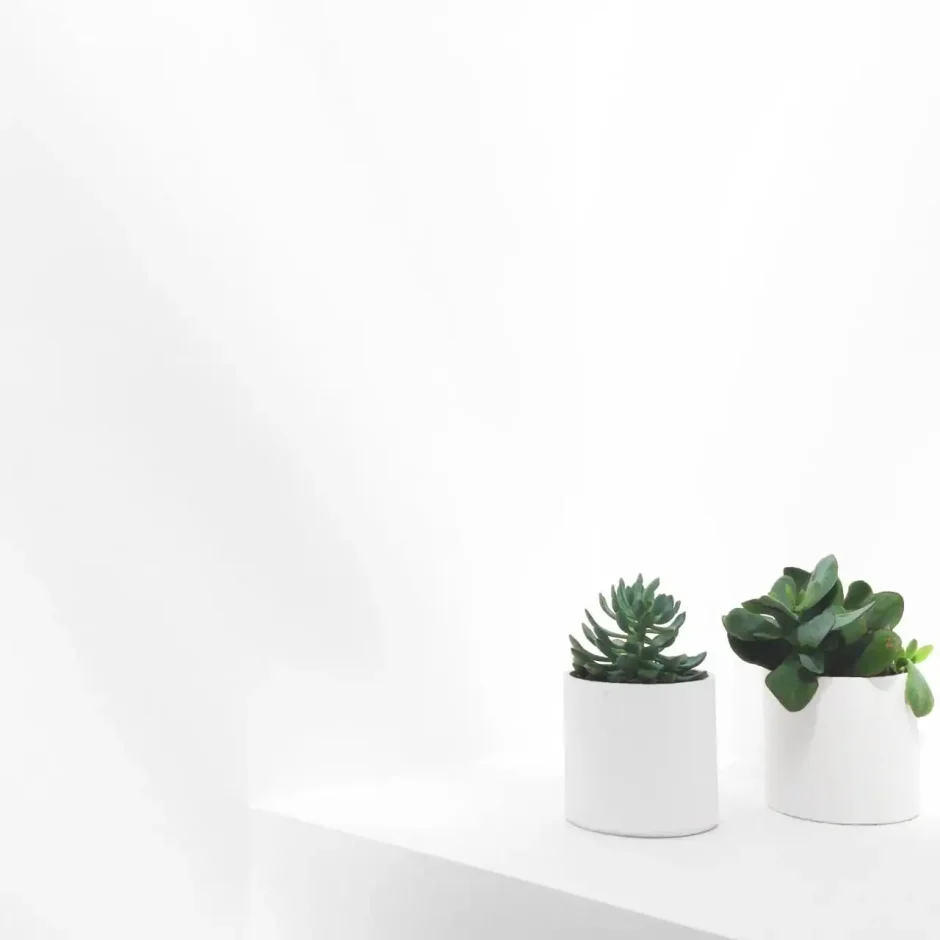 Предметная съемка Минимализм