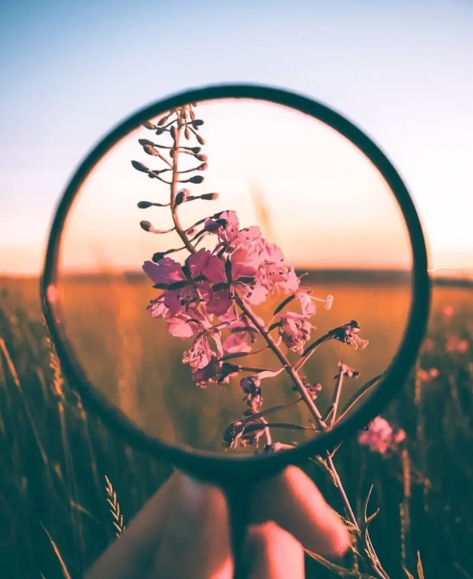 Кофе цветы стильные