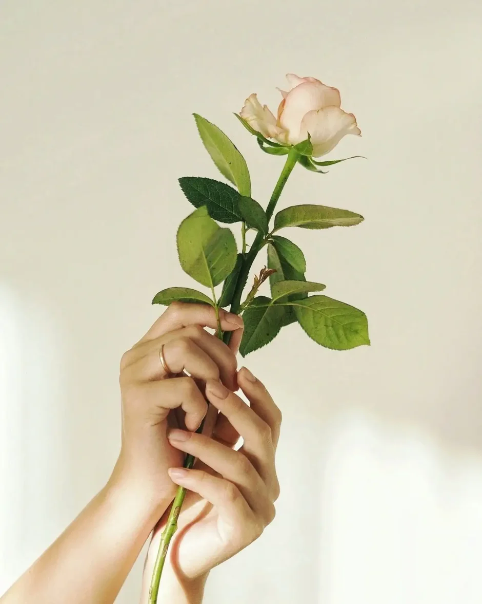 Рука держит цветок