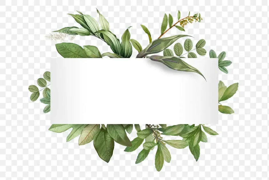 Яркие фотосессии для Инстаграм