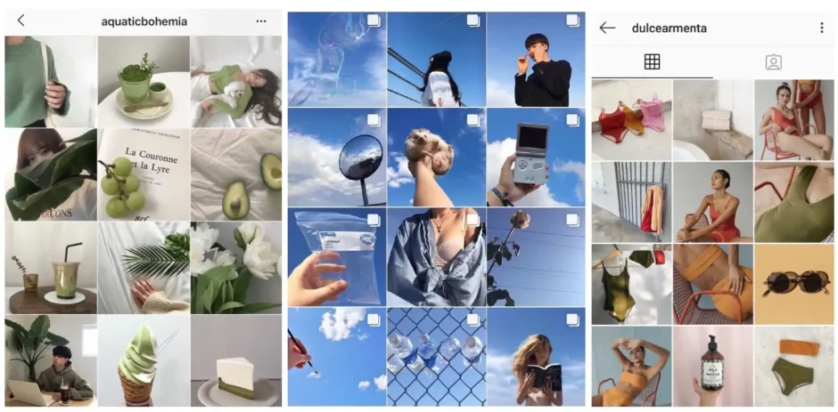 Филодендрон Spiritus-Sancti Spiritus Sancti