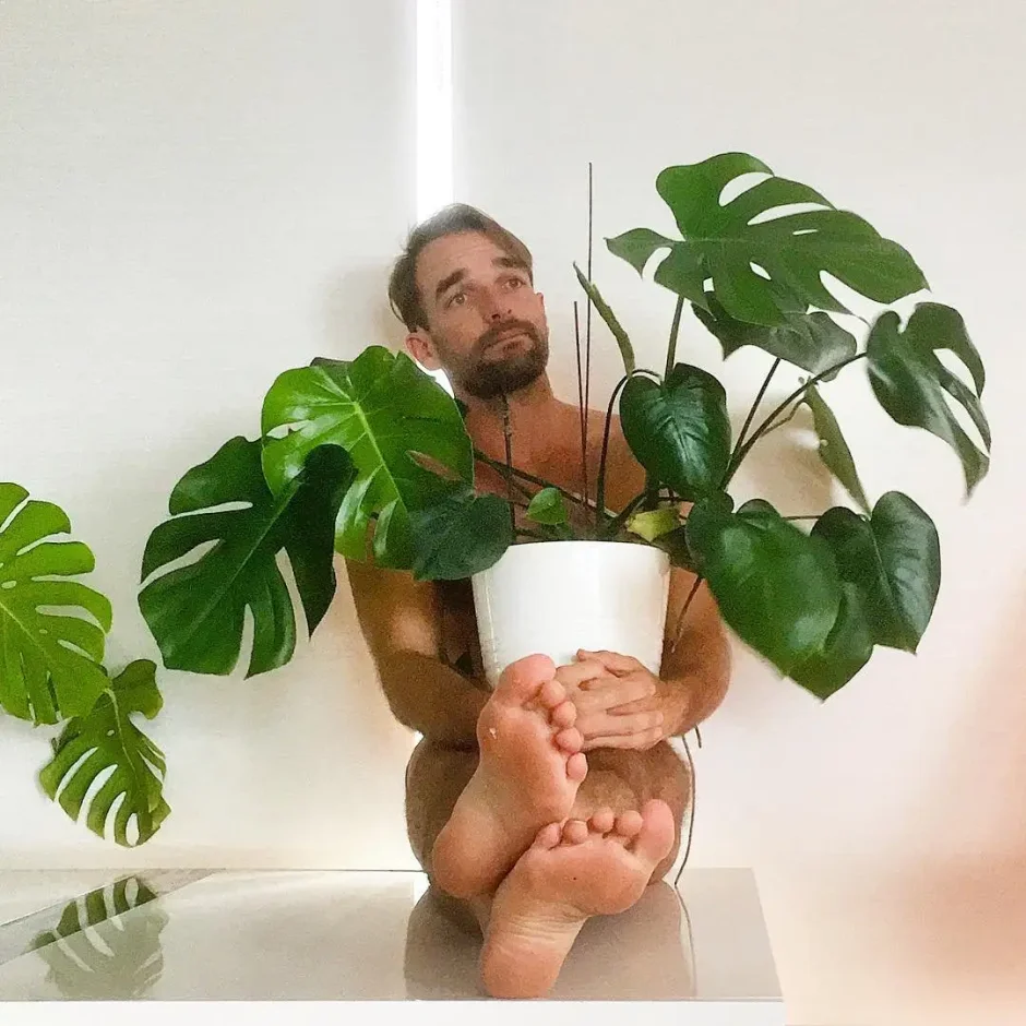 Эустома Эстетика