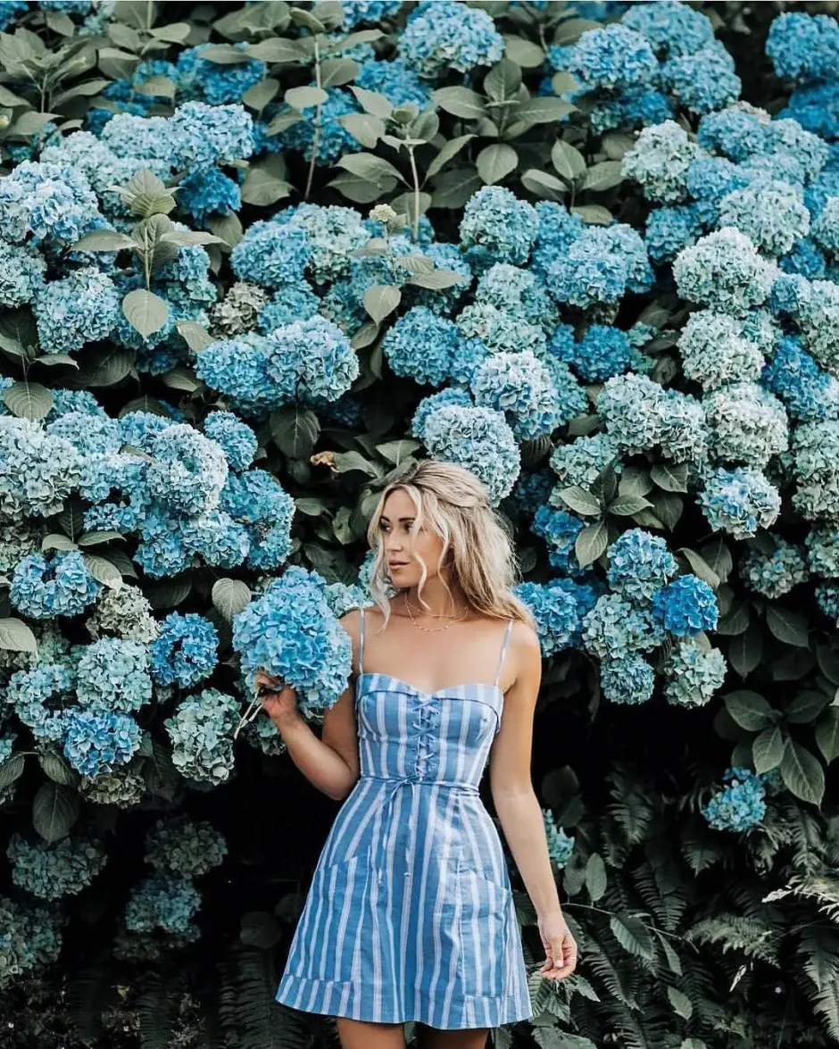 Нежная Эстетика