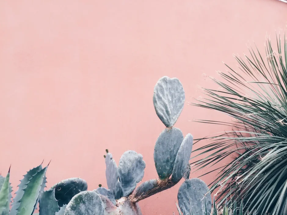 Фотосессия с букетом цветов дома