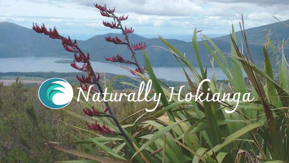 Китайская Лиана Глициния