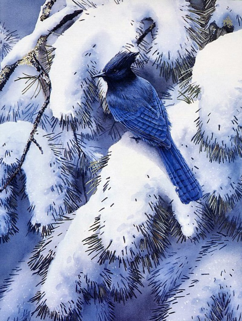 Сьюзен Бордет зима