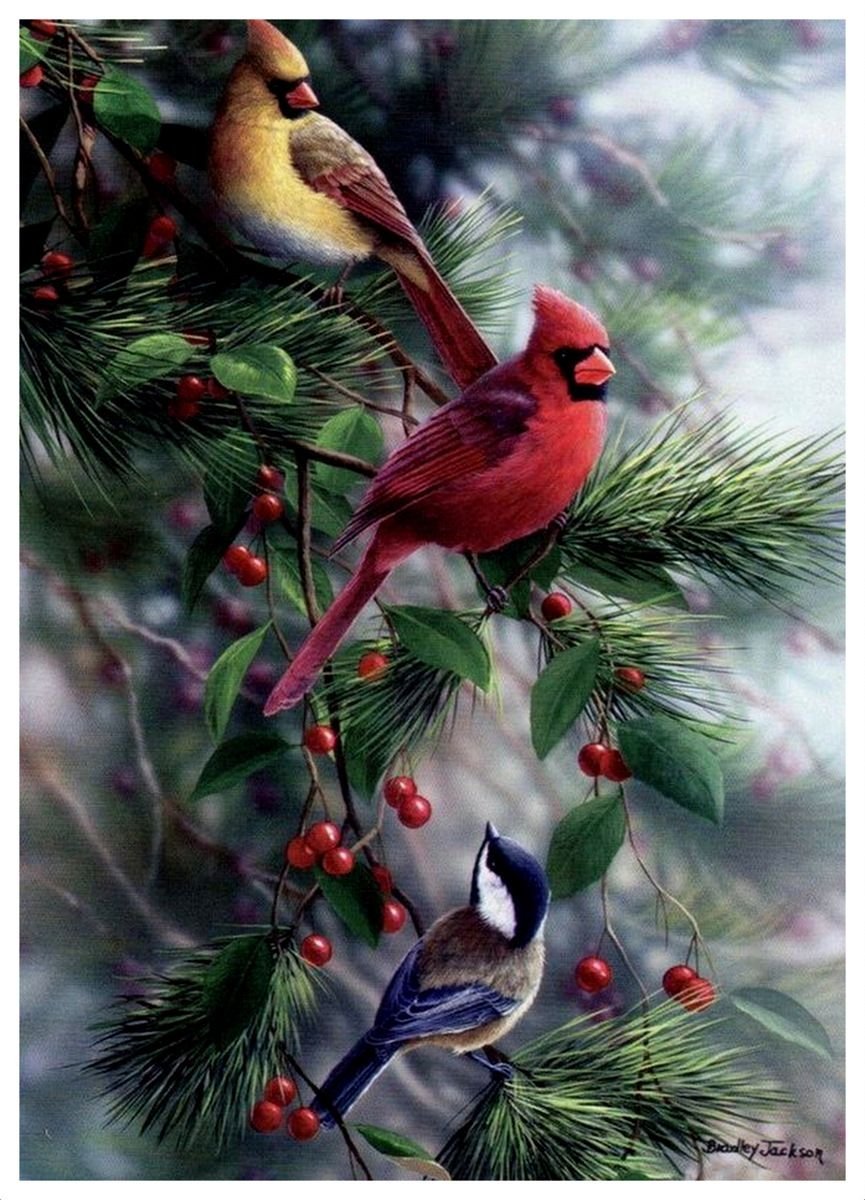 Bradley Jackson картины синицы