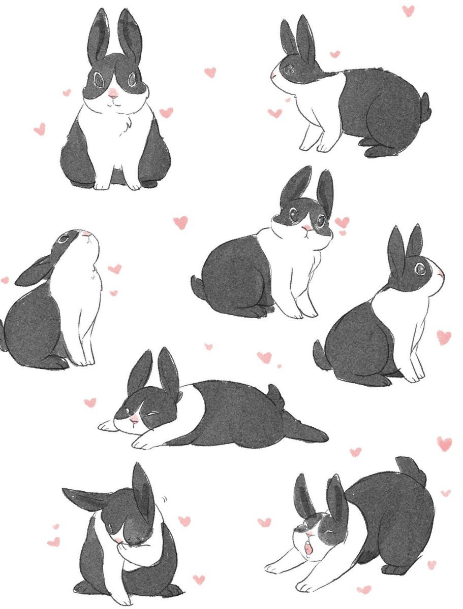 Кролик референсы