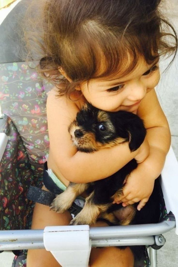 Маленькие дети и животные