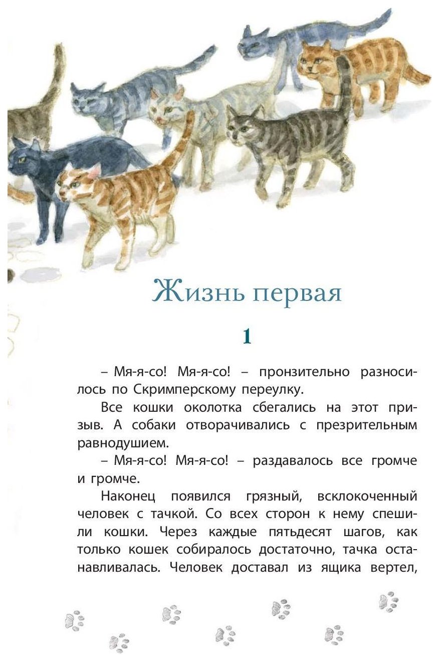 Краткое содержание рассказа Королевская Аналостанка