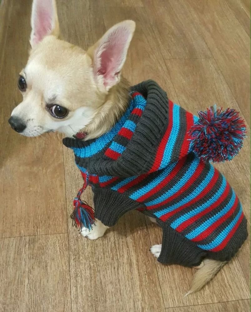 Вязаная одежда для собак