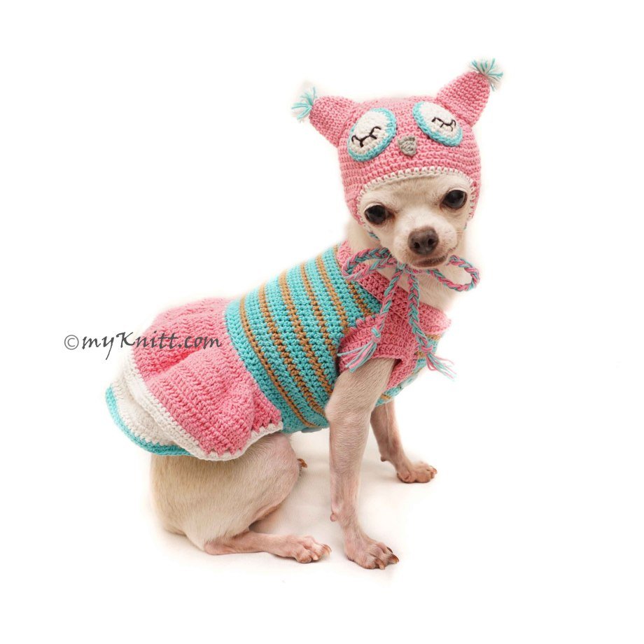 Вязаная одежда для собак чихуахуа