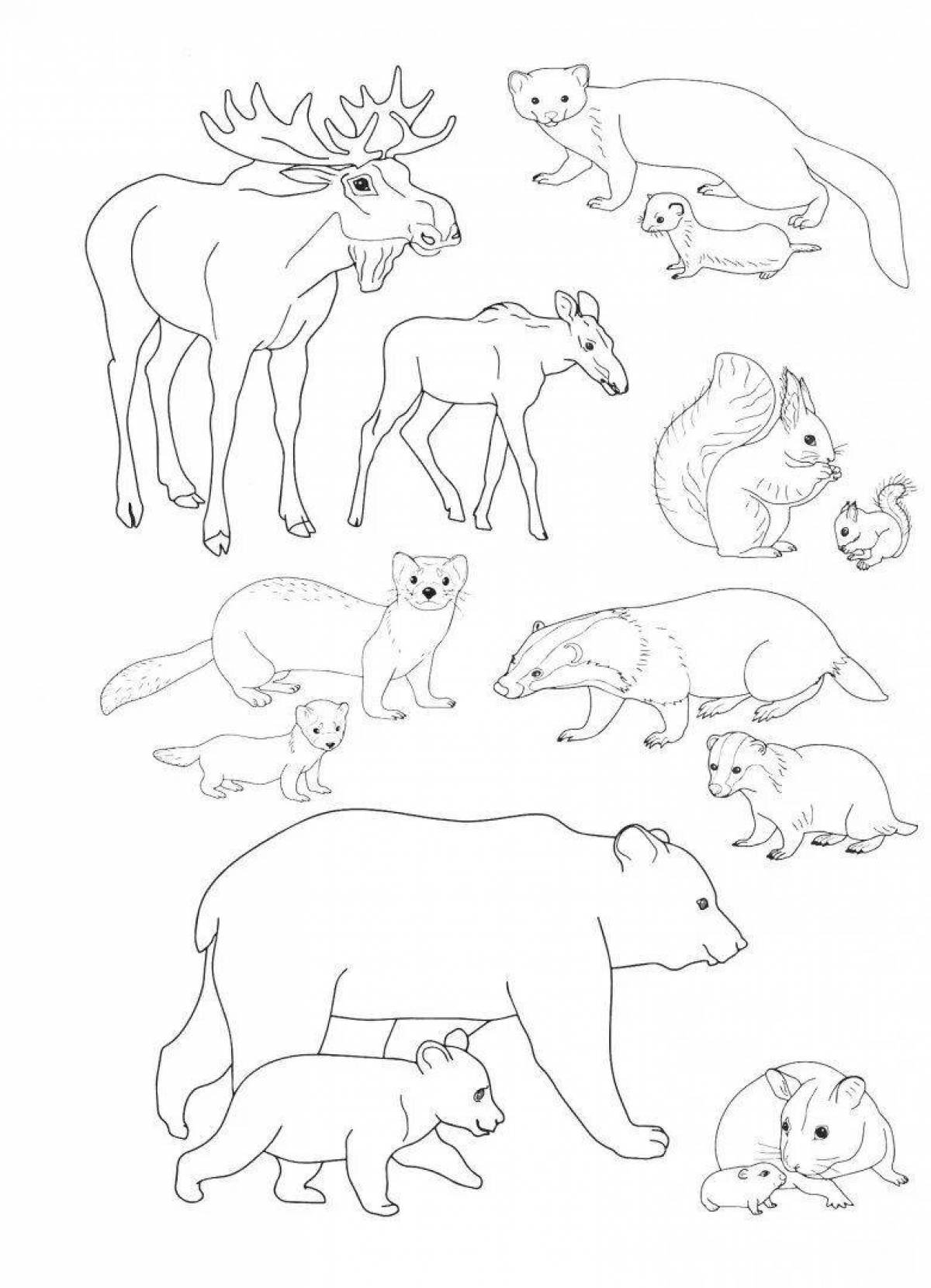Животные группами раскраски