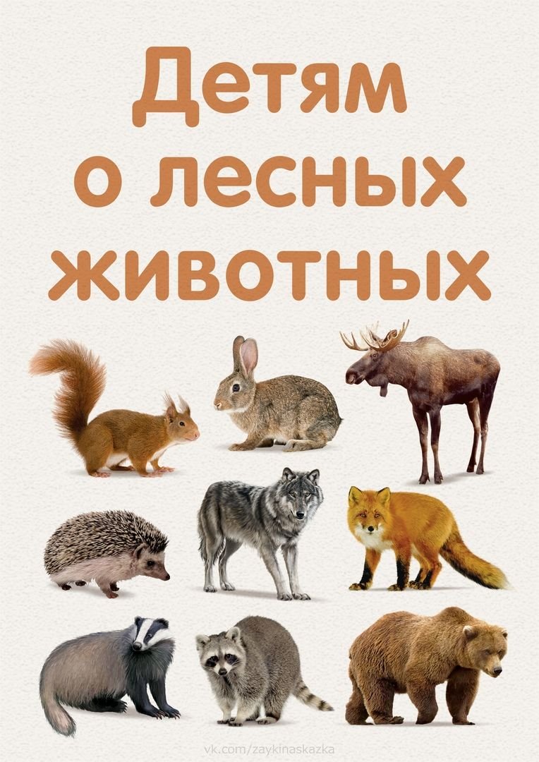 Дети рассказывают о животных леса