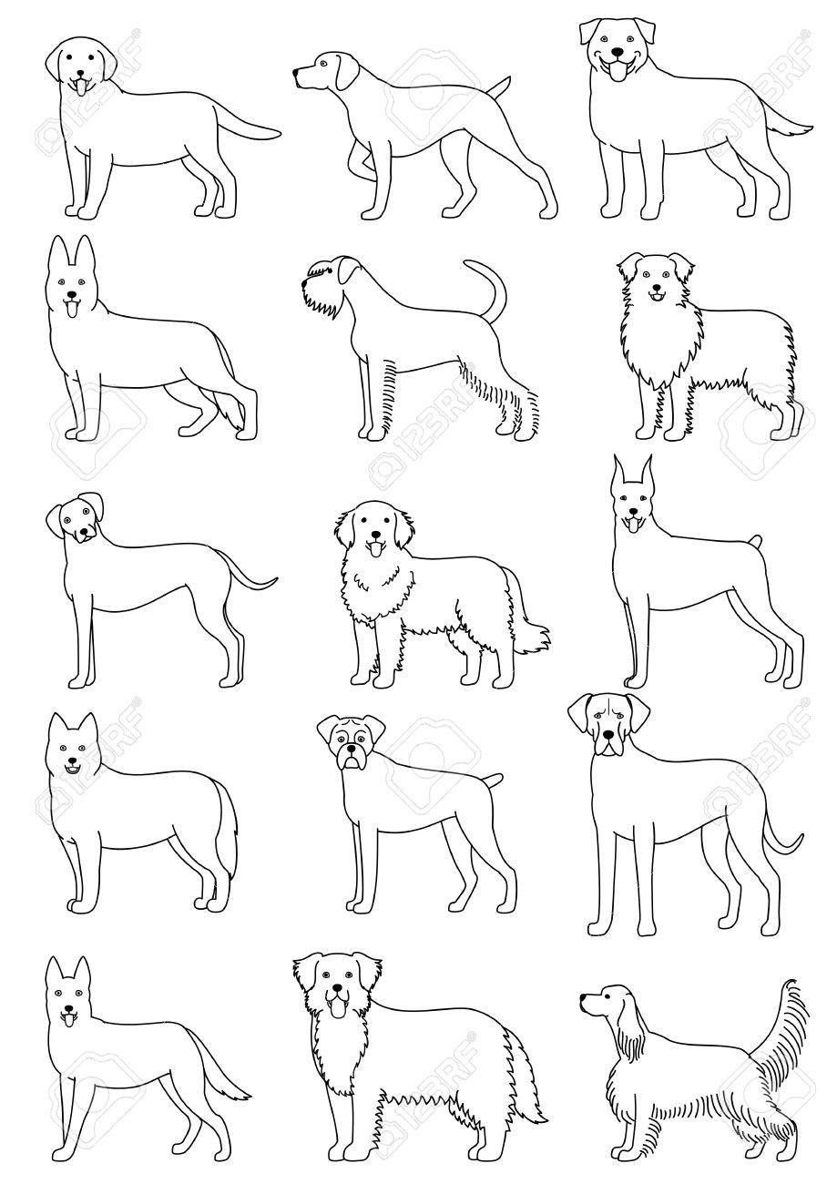 Раскраска много собак