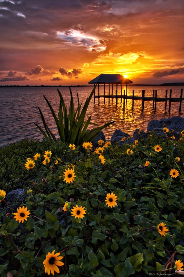 Красивый закат