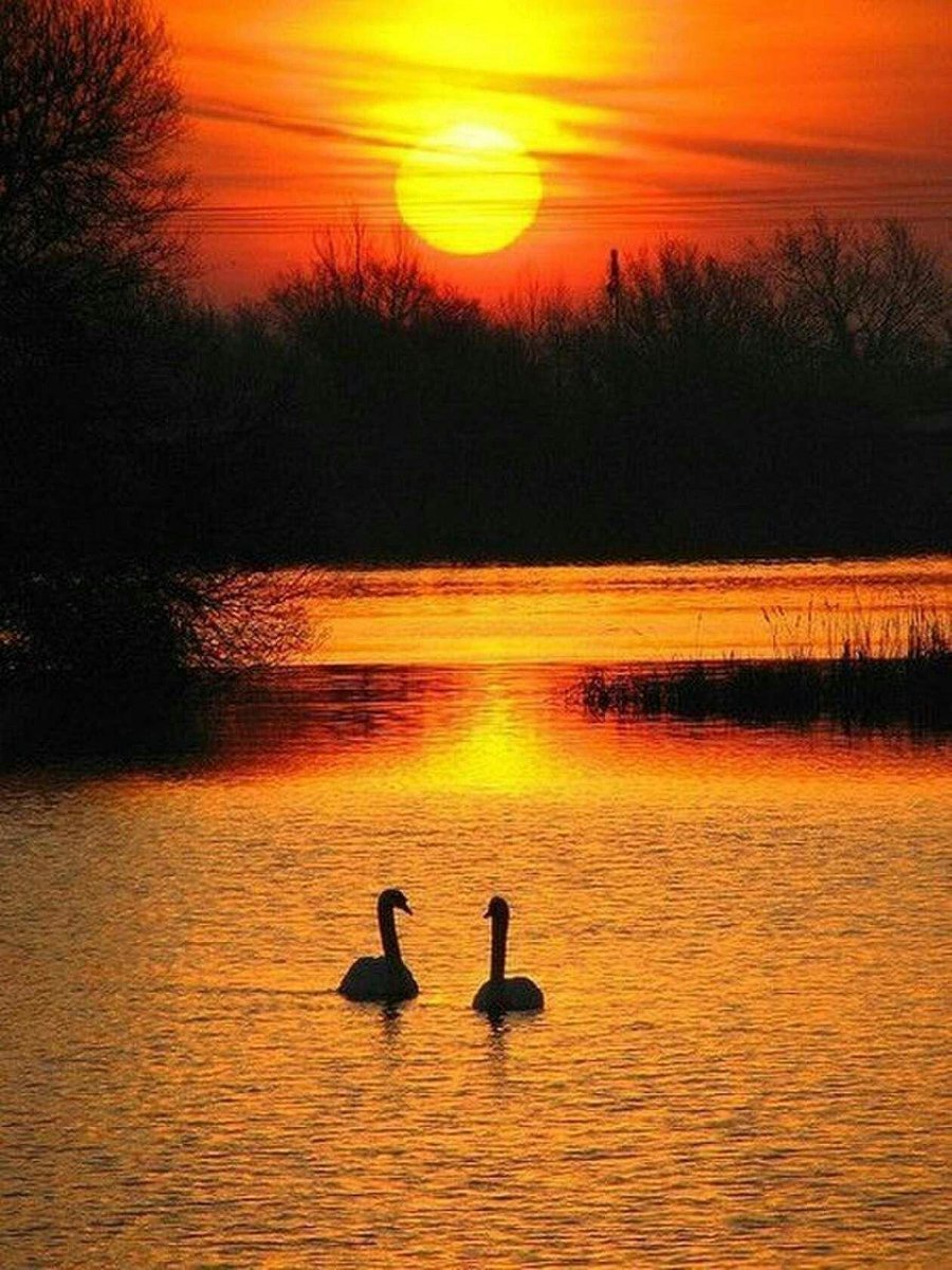 Добрый вечер красивый закат
