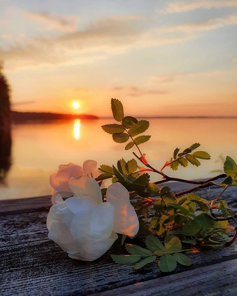 Счастье рассвет