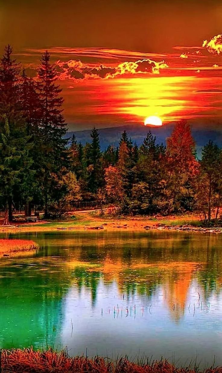 Вечерняя природа