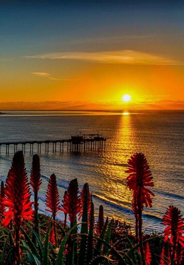 Чудесный закат