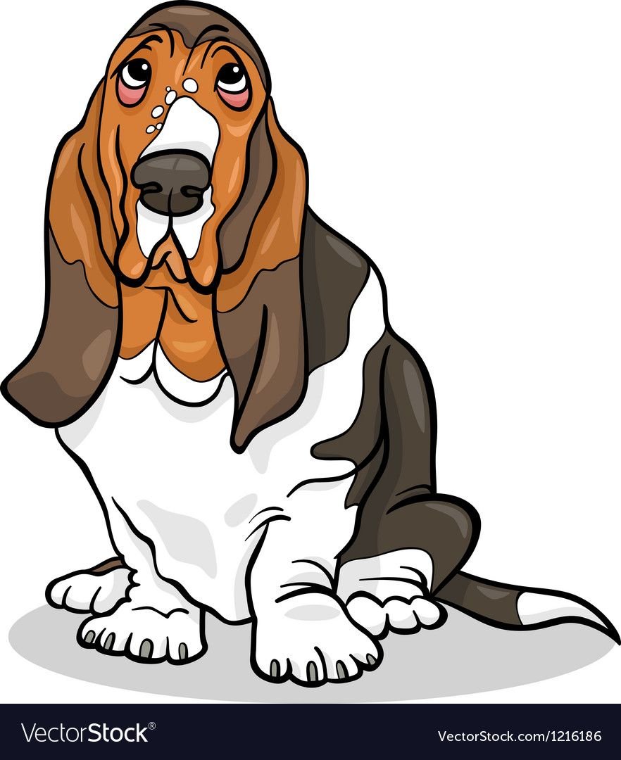 Бассет-хаунд мультфильм