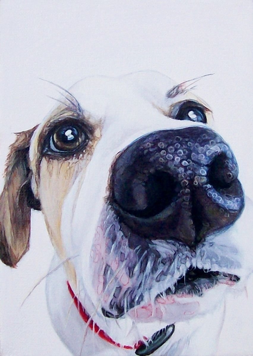 Акварельный портрет собаки