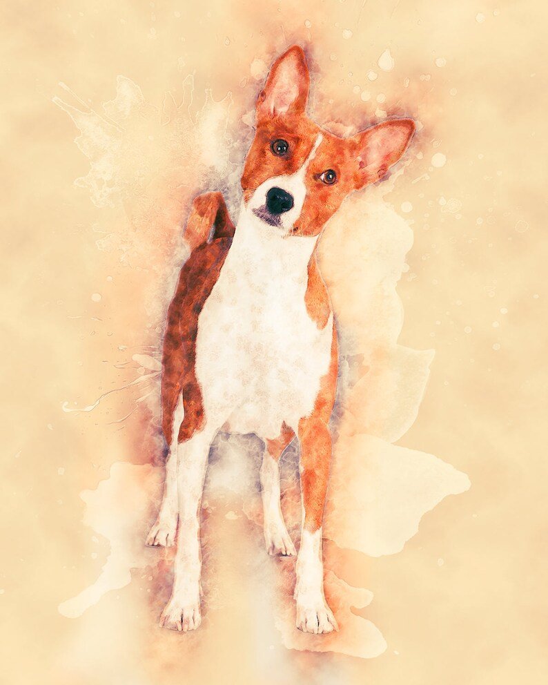 Басенджи акварель