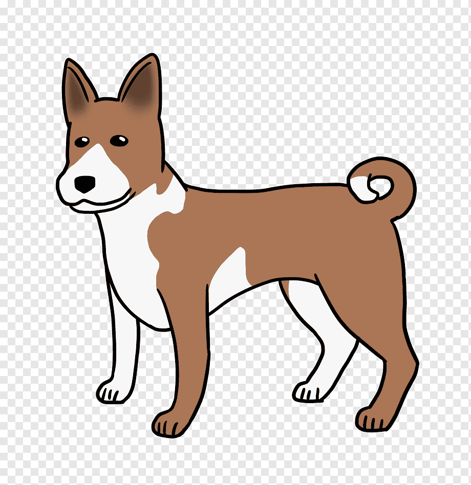 Раскраска собаки басенджи