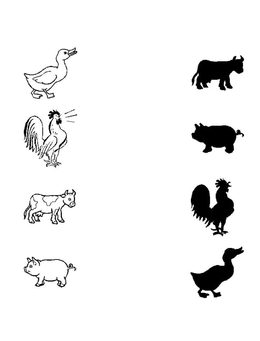 Домашние животные задания для детей