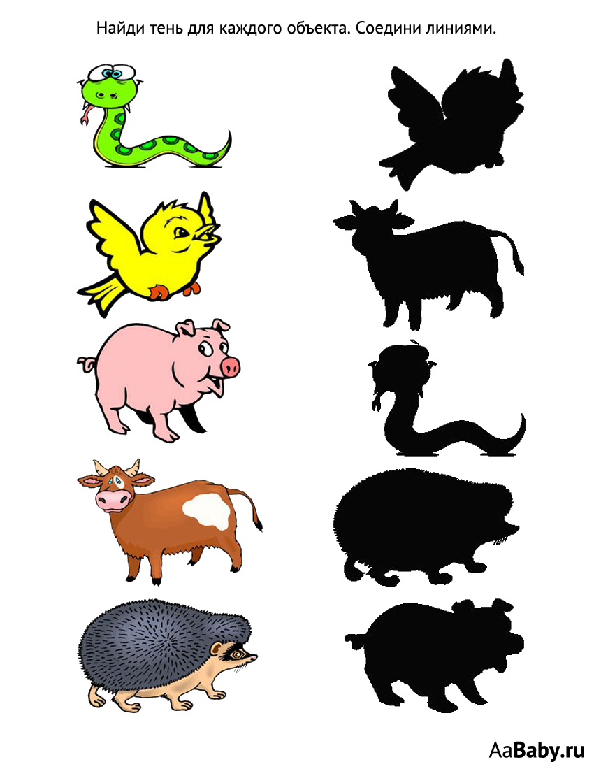 Животные и их тени