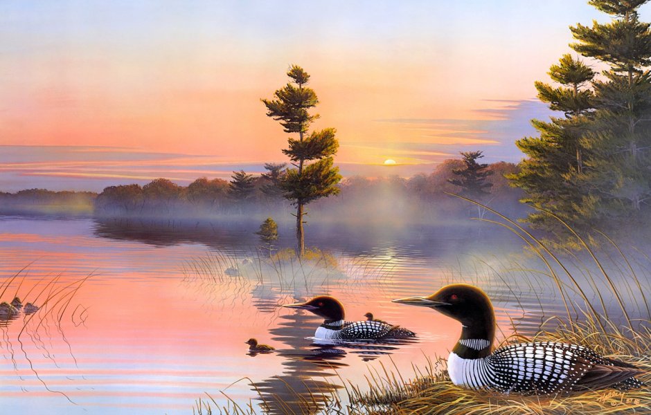 Терри Редлин озеро