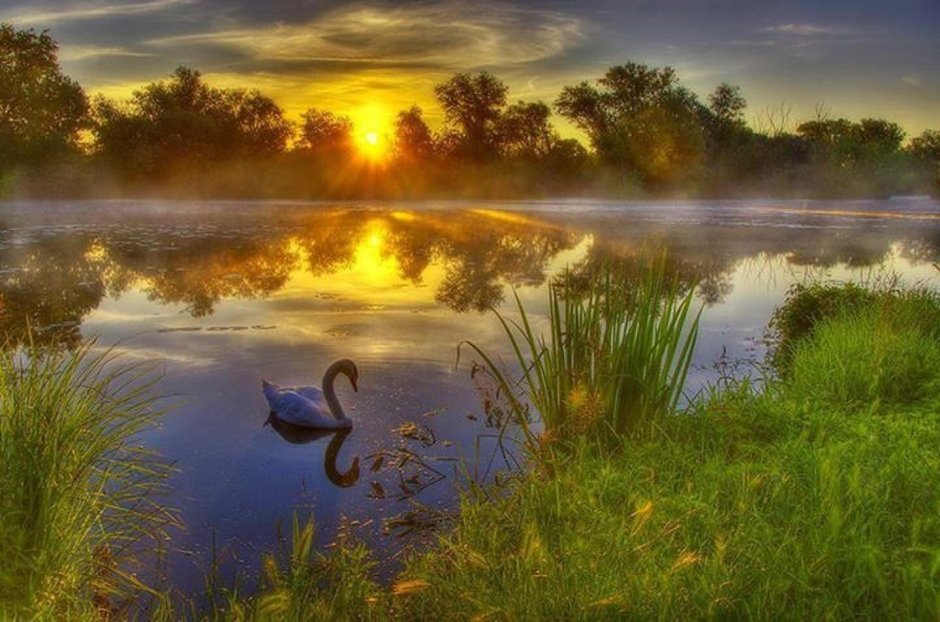 Добрый вечер на природе летом