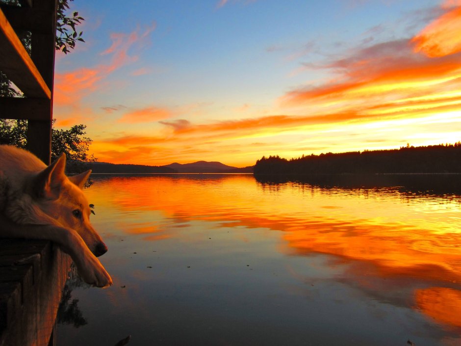 Смешной закат