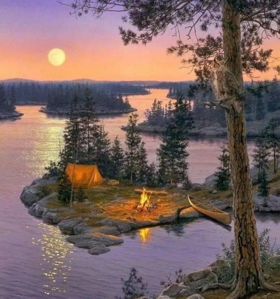 Даррелл Буш закат