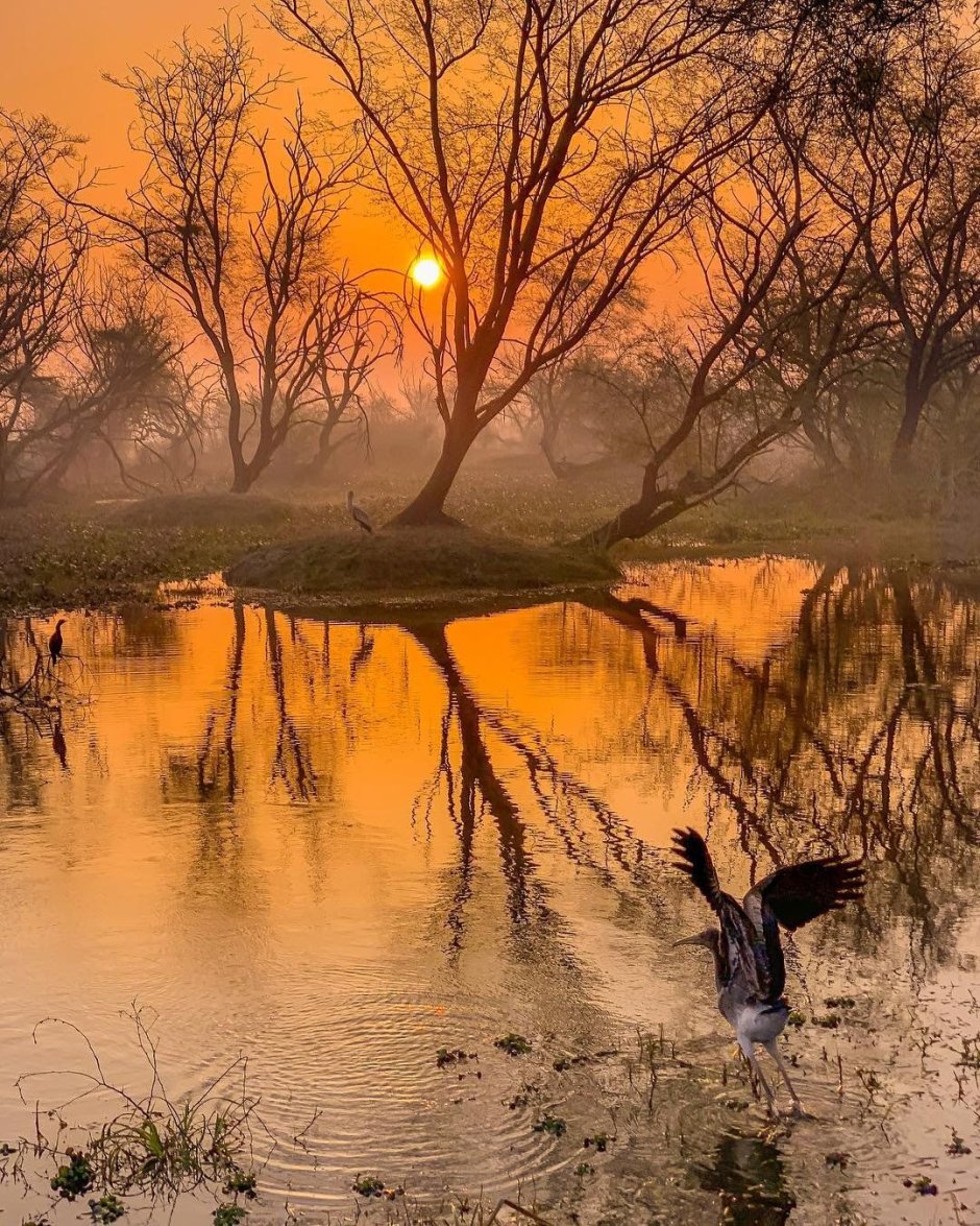 Добрый вечер природа осень