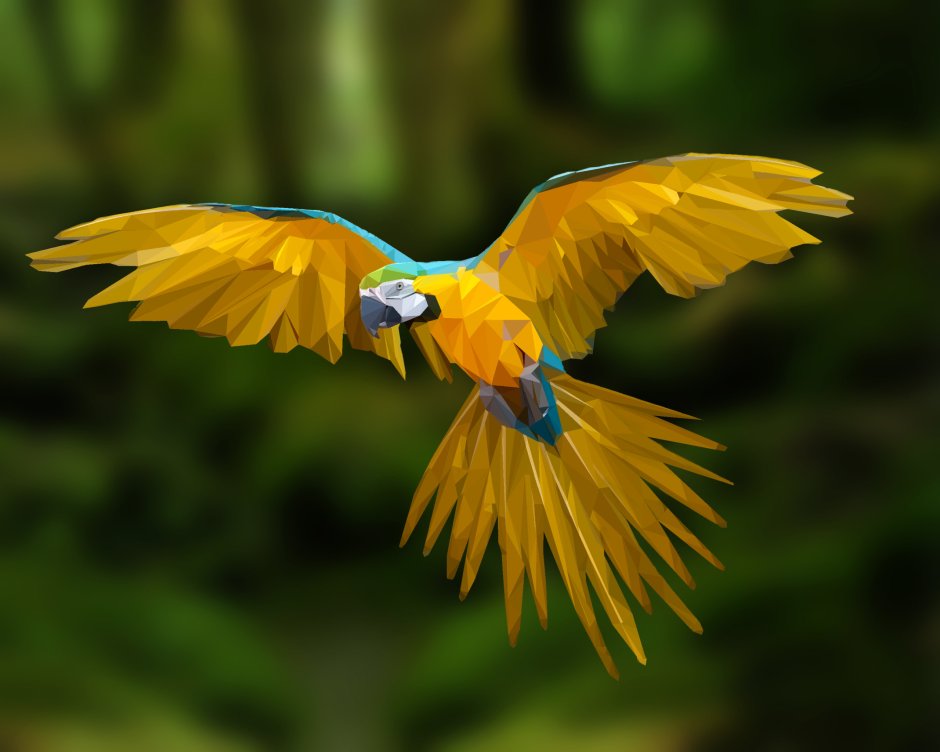 Попугай ара