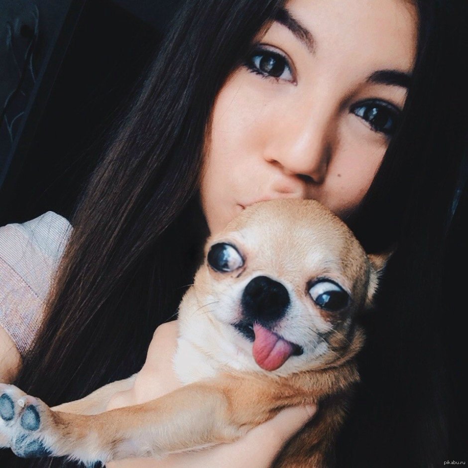 Девушка с собакой милые