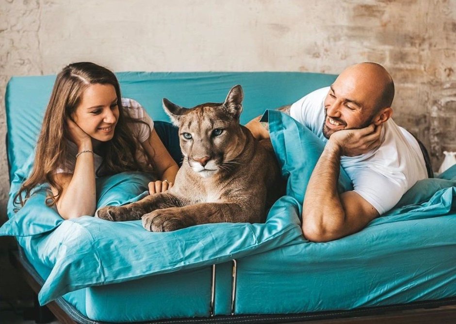 Александр Дмитриев Пума