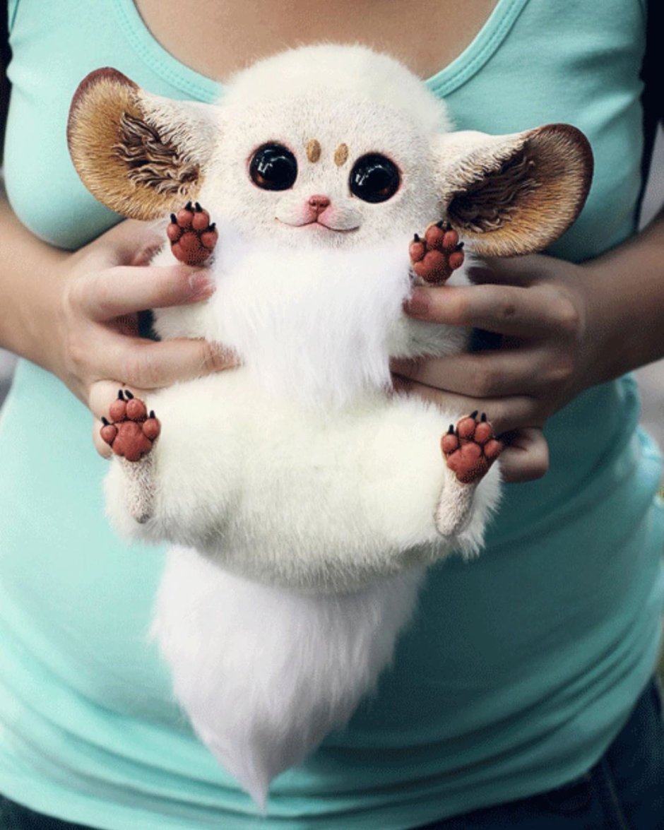 Игрушки Santaniel Inari Foxes