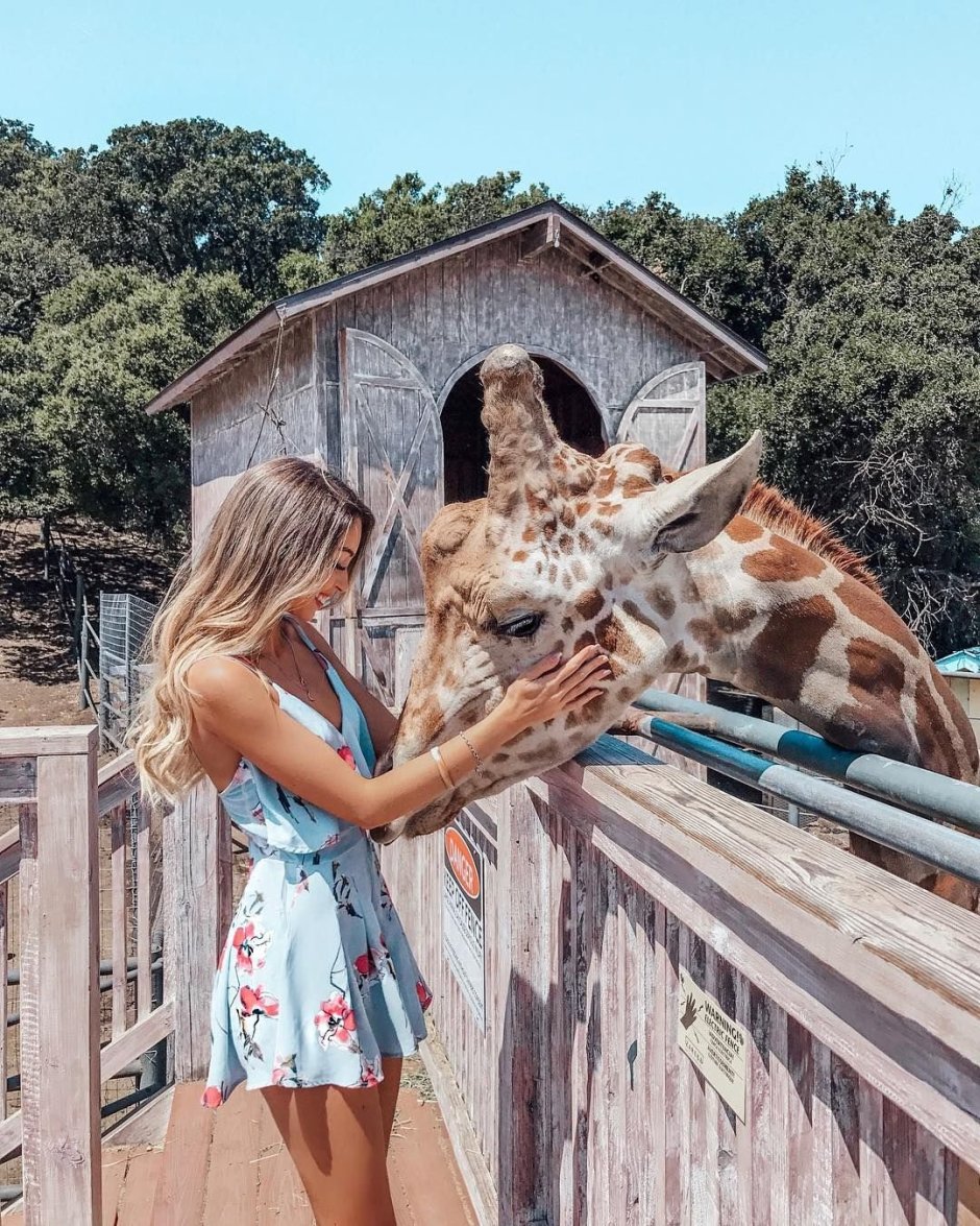 Животные Инстаграм