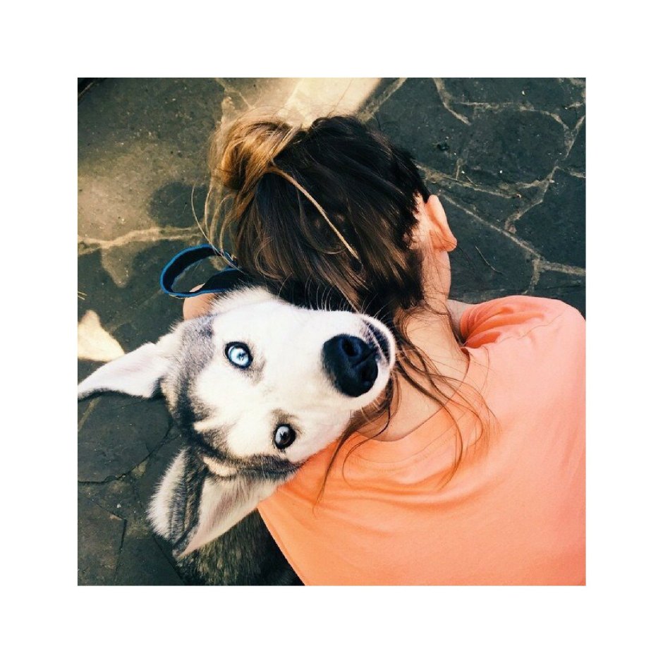 Миленькие фото на аву