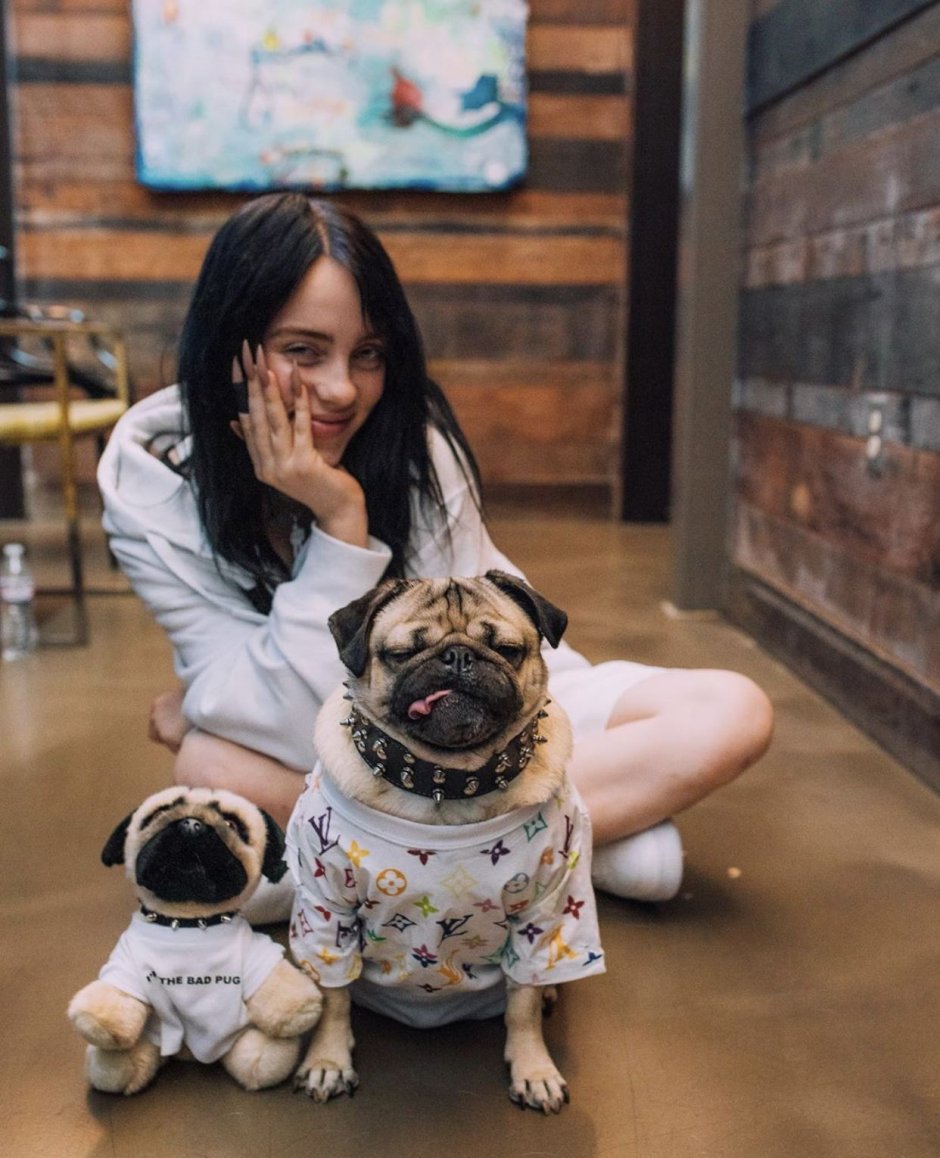 Питомец Билли Айлиш