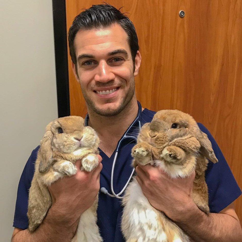 Эван ветеринар