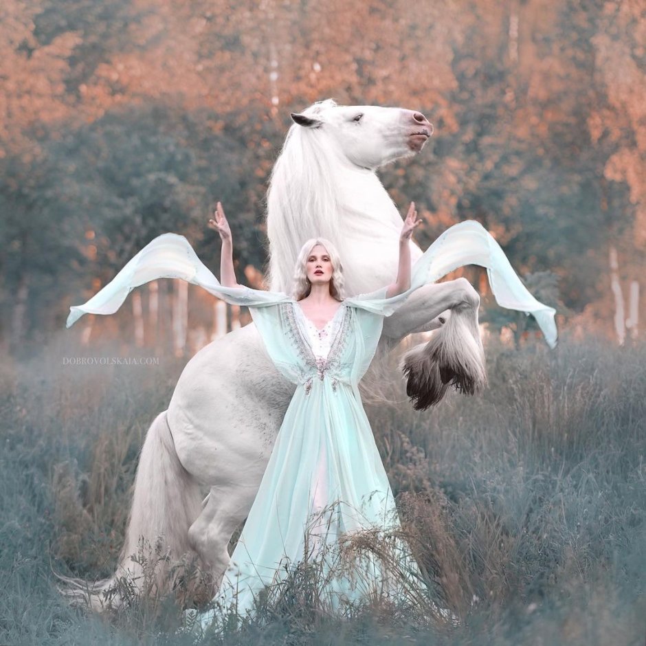 Анастасия Добровольская фотограф