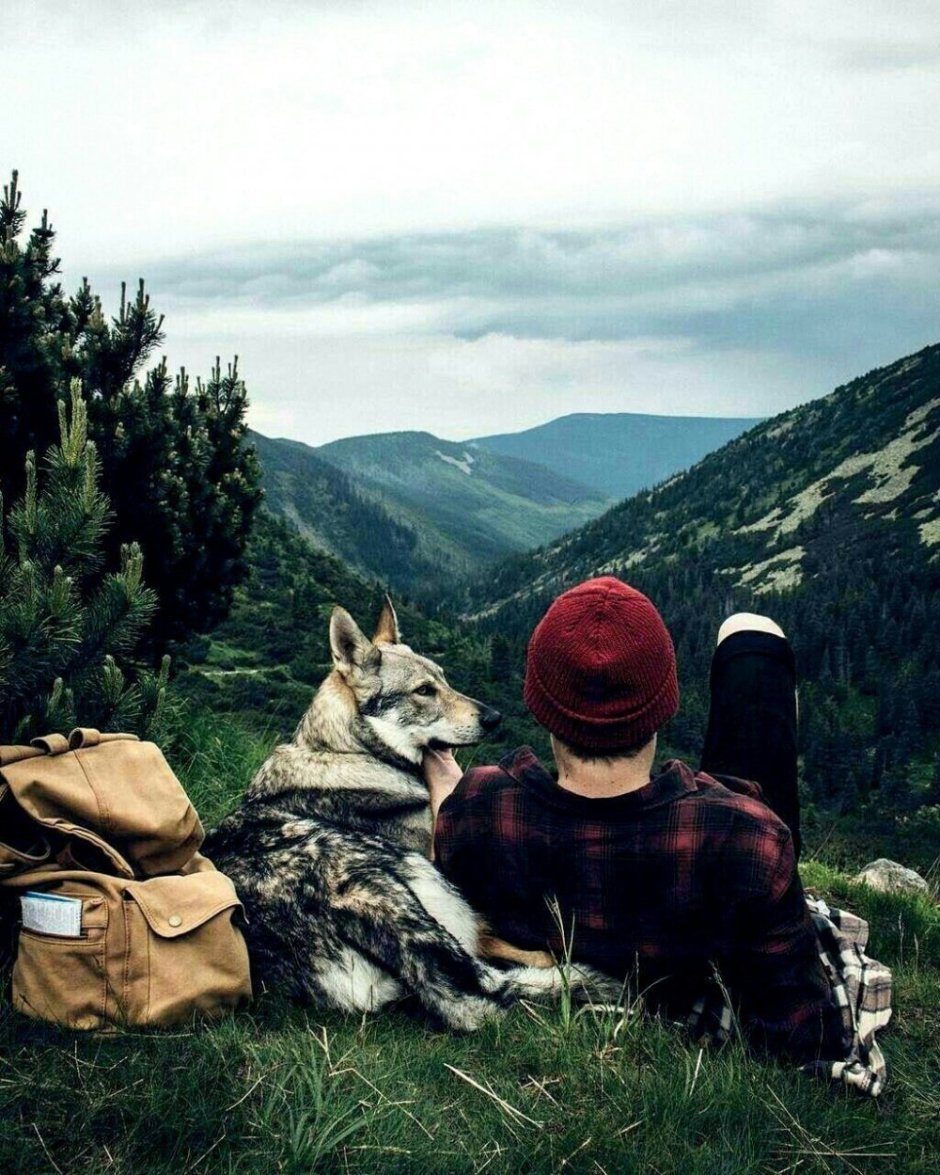 Хонза Рехачек