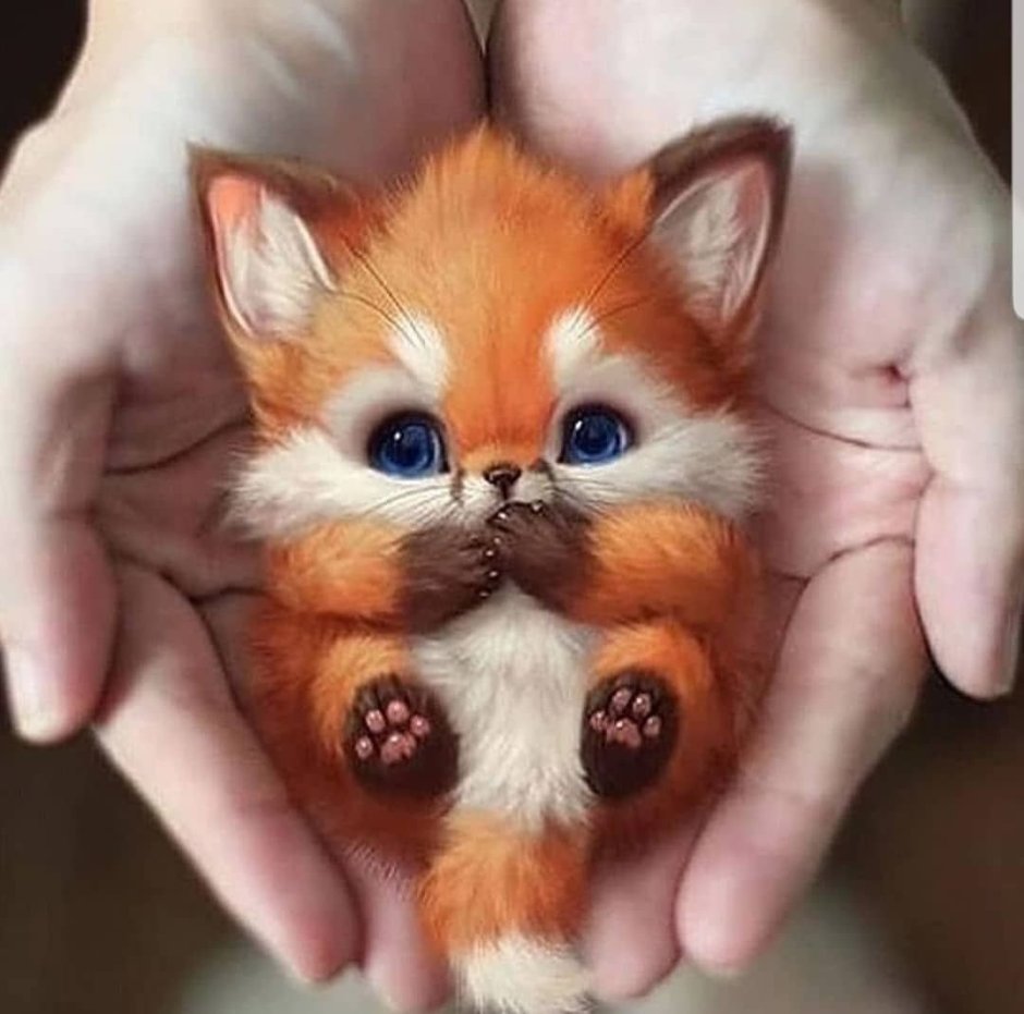 Лесенка для рук