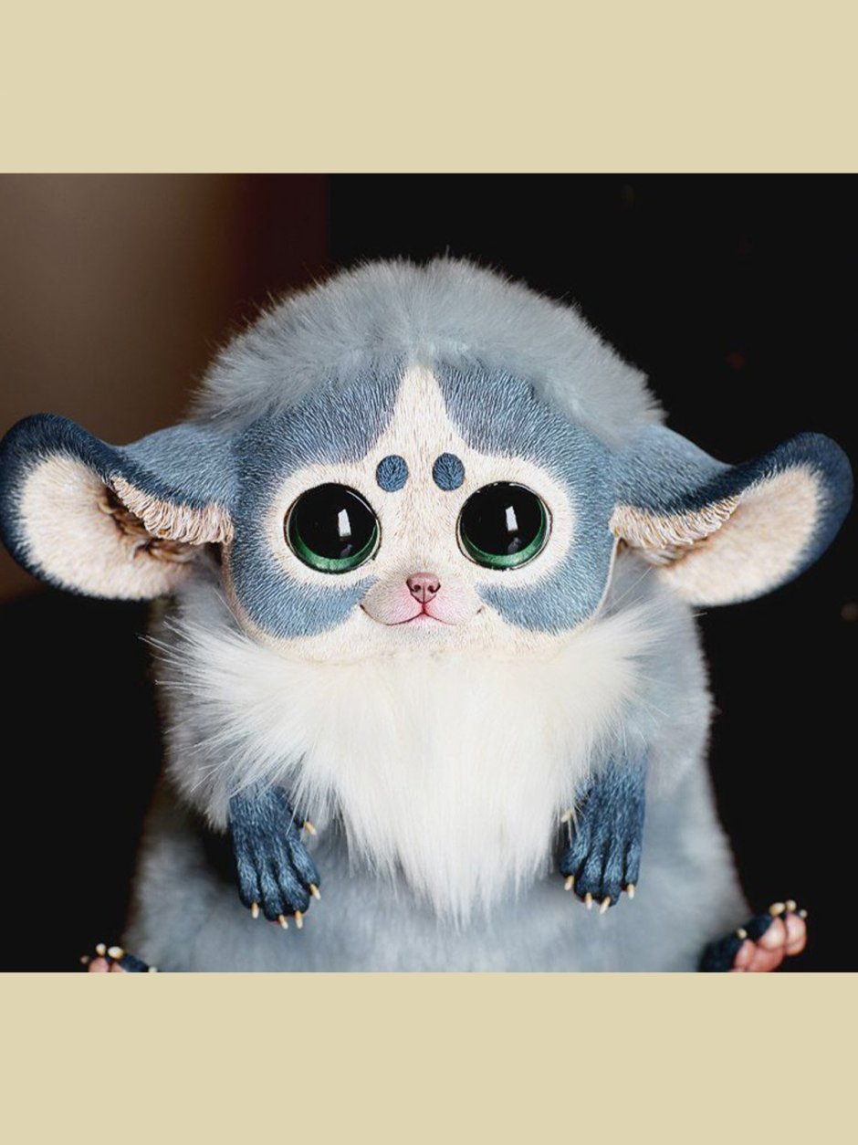 Магадаскарзкий глазо ух