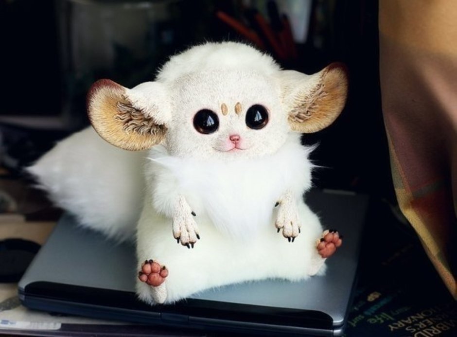 Игрушки Santaniel Inari Foxes